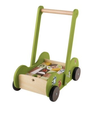PLAYTIVE  Holz-Schiebewagen Grün inkl. 30 Holzbausteinen NEU