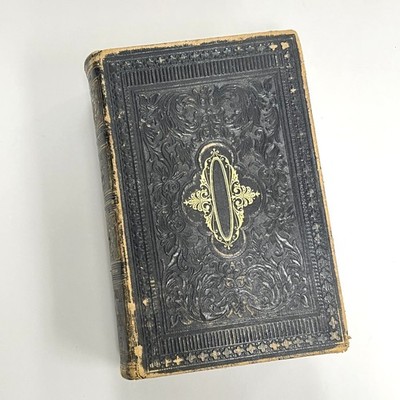 Gunn's Newest Family Physician Home Book of Health 1876 In English Rare