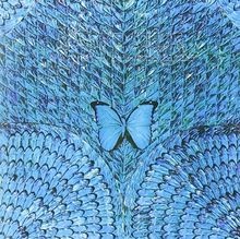 Borboletta von Santana, Santana (S.,C./+) | CD | Zustand sehr gut