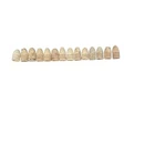 Civil War 14 Relic Dug Bullets 58-Caliber 1800s