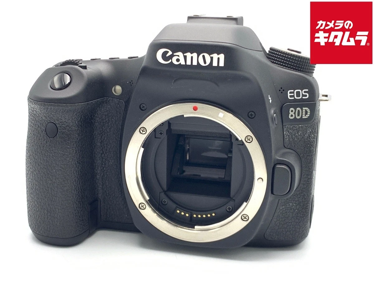 Canon EOS 80D 数码相机| eBay