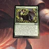 Veil Of Summer X1 Mtg M20 Core Set 2020 Lp