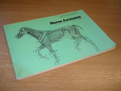 #ad Horse Anatomy: A Pictorial Approach to Equine Structure $32.45