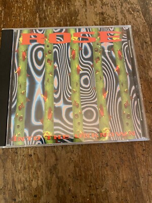 Into the Unknown, Randy Rose, Rose CD Grunge Mad At The World Stephen Kamada Oop