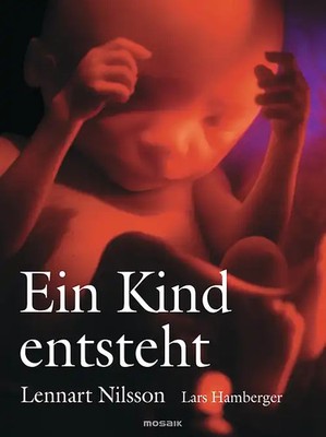 Ein Kind entsteht ZUSTAND SEHR GUT