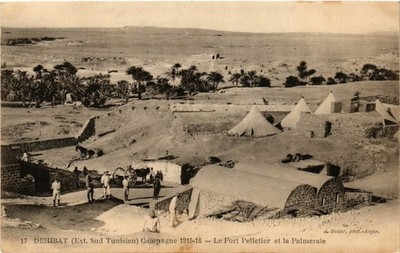 CPA TUNESIEN DEHIBAT - Campagne 1915-16 - Le Fort Pelletier et Palmeraie (239163)