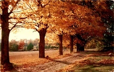 Winsted, Conn., Tichnor Bros., Inc., Boston 15, Mass. Postcard