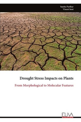 Drought Stress Impacts On Plants: From Morphological To Mole...