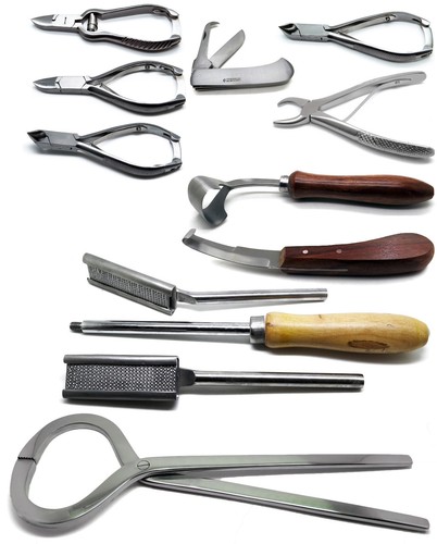 Cuchillo veterinario para pezuñas de caballo probador fórceps raspado juego de instrumentos premium de 10 - Imagen 3 de 3