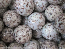 MARBLES 2 POUNDS OF 1 INCH SNOW LEOPARD SPECKLED MEGA MARBLES