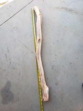 31" long sanded 2" thick natural Manzanita Branch reptile bird habitats  94
