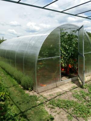 Stabiles Tunnel Gewächshaus ''Lider'' Polycarbonat  3x4 3x6 3x8 3x10 EU Produkt