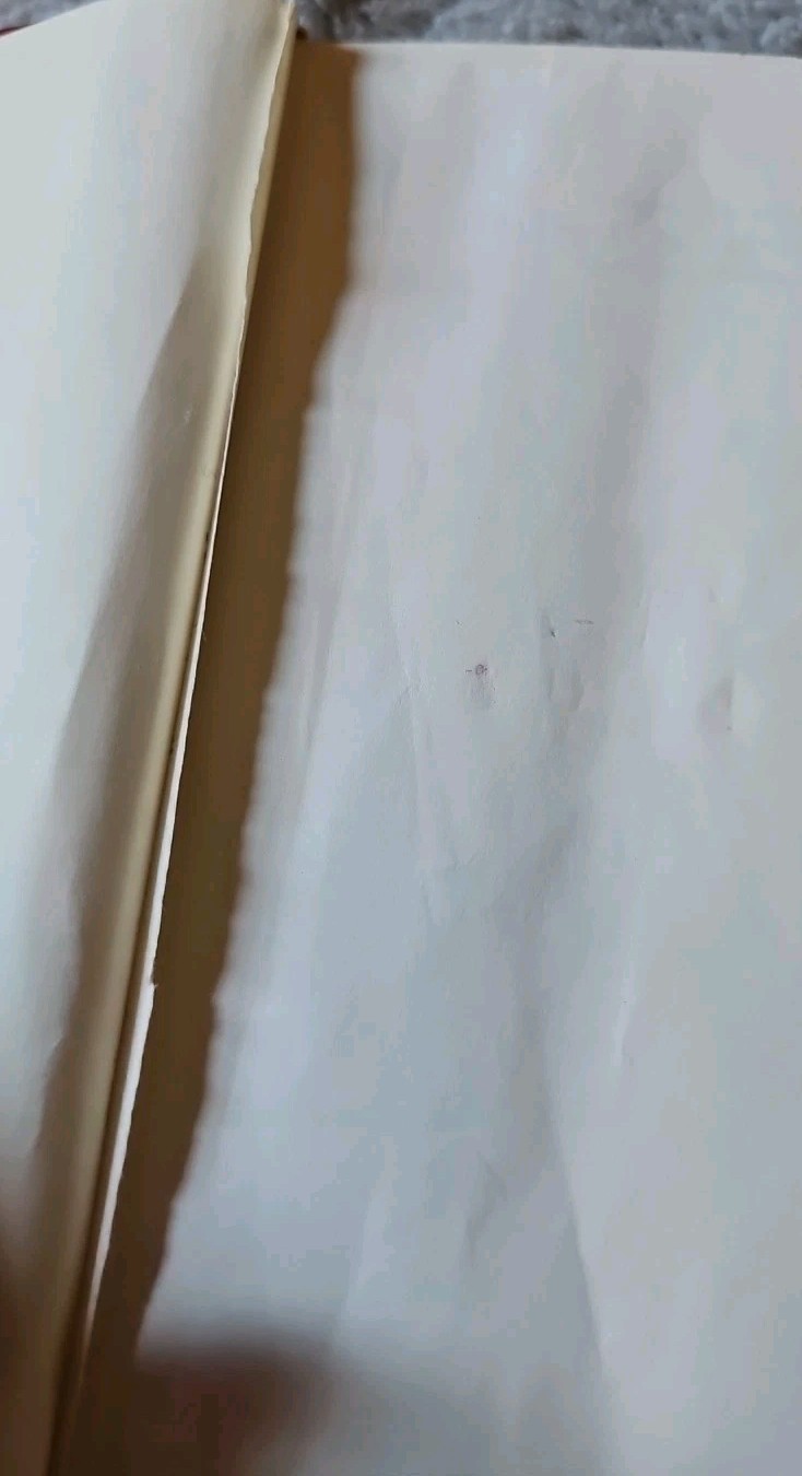 Foto 5 di 11