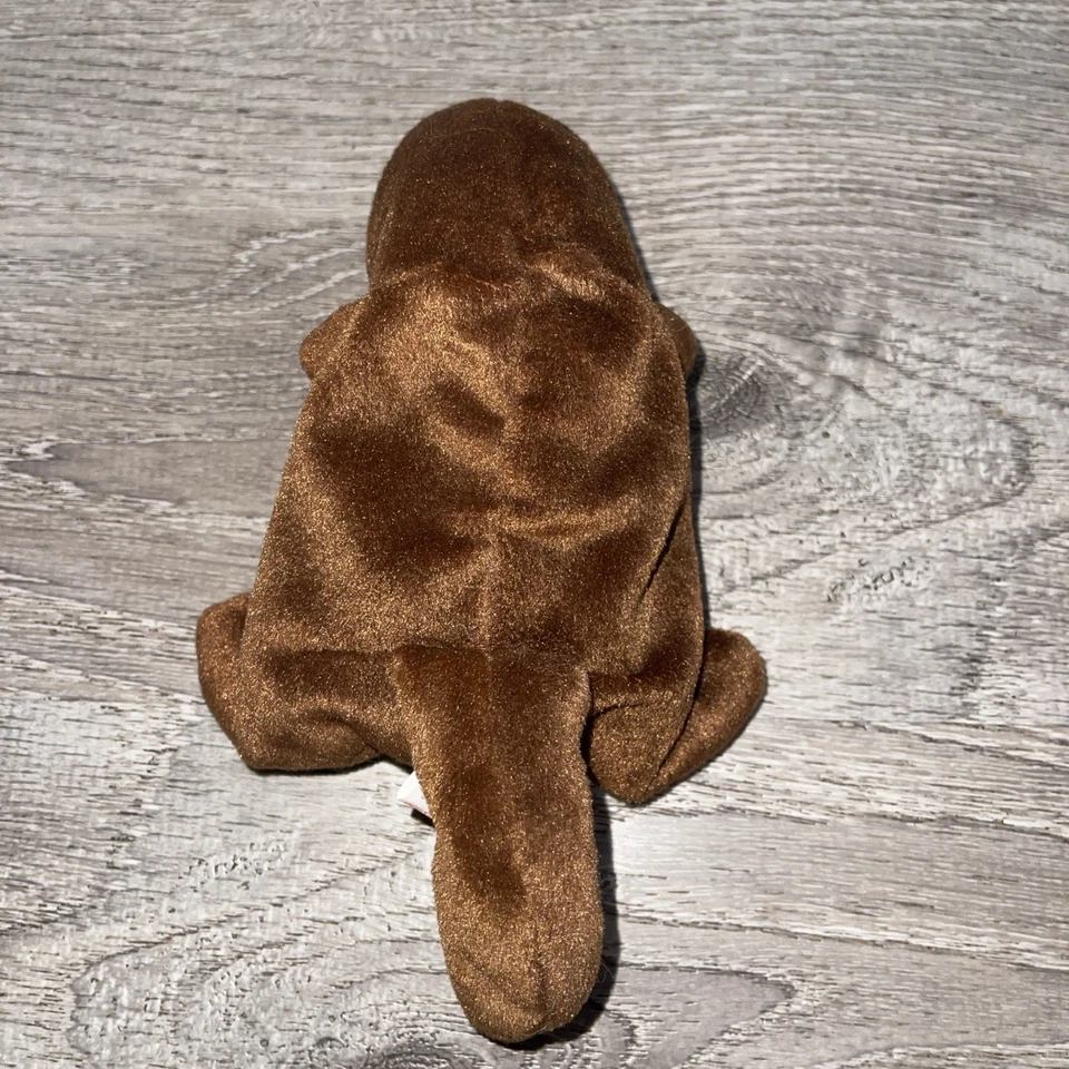 Rare Retired Seaweed Ty Beanie Baby-tag errors - Image 2 of 4