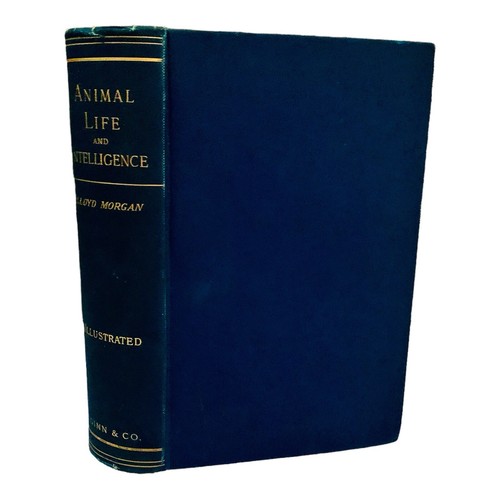Animal Life and Intelligence by Lloyd Morgan 1891 Vintage Science Biology Book