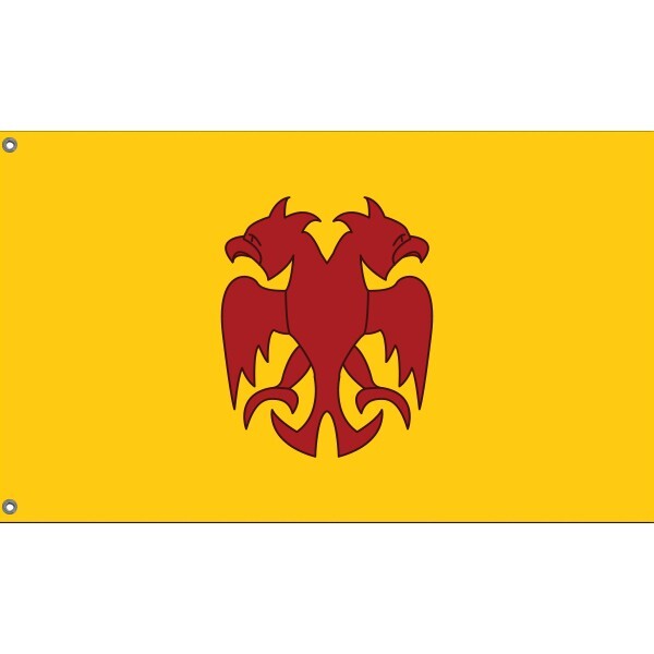 Bandiera Presidente USA 3x5 Ft (90x150 Cm) - Bandiera Da Esterno, Stampa Multicolore, EU