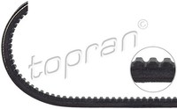 1X Topran 100 229 Keilriemen FüR Vw Audi Bmw Seat