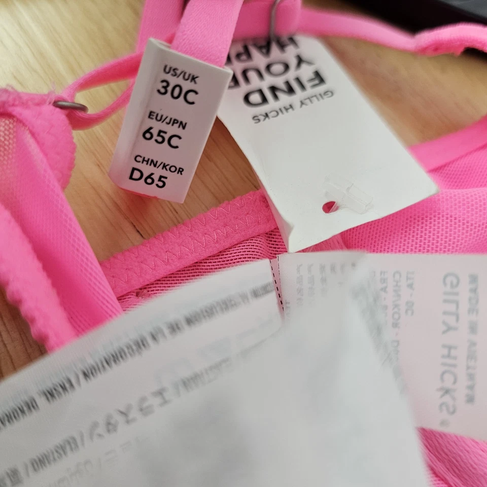 Gilly Hicks 全新带标签粉色网眼钢圈半透明文胸 30C — 第 4/4 张图片