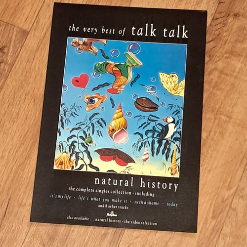 TALK TALK Natural History The Best of 1991 A4 magazine promo advert artwork - Bild 11 von 11