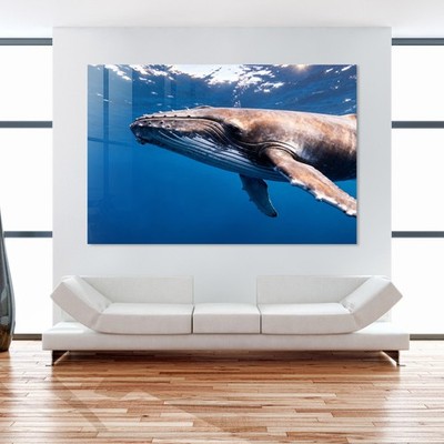 Wal im blauen Ozean Kunst, Wandbild Acrylglas, Leinwand oder Poster Deko