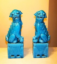 COPPIA DI CANI FOO IN PORCELLANA BLU TURCHESE
