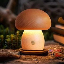 LONRISWAY Portable Cordless Rechargeable Battery Operated Lamp,Stepless