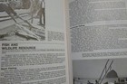 Foto 3 di 3