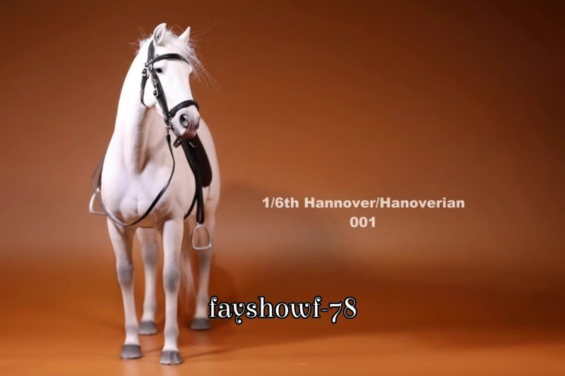 Bild 14 von 27