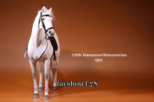 JXK Trakehner 1:6 WarmBlood Pferd Simulationsmodell Kriegspferd Resin Ornament Deko - Bild 14 von 27