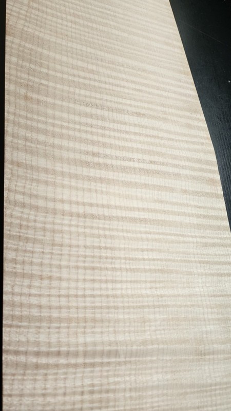 Maple Fiddleback Flame Bookmatch #1176 L.20&7/8"  W.15&1/2"tapers-13 T. 5/8"