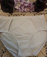 L/7 UNDER CONTROL INTIMATES SeXy Cool Mesh Vibes Brief Panty ~NW0T