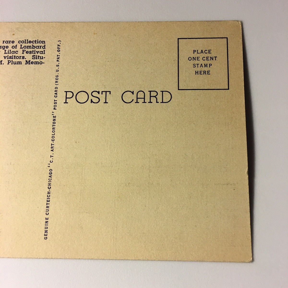 Lilacia Park Lombard Illinois Color Vintage Textured Travel