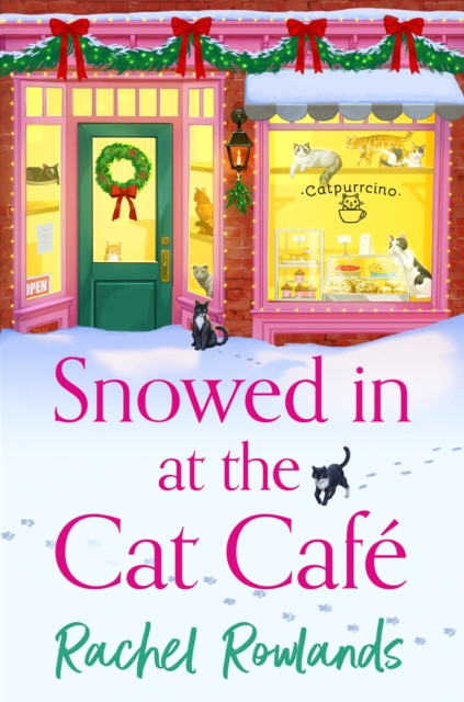 Snowed In at the Cat Cafe by Rachel Rowlands (Paperback Book)