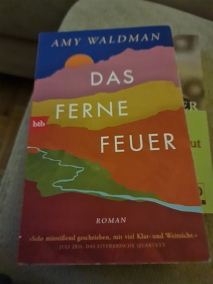 Das ferne Feuer: Roman Roman Walitzek, Brigitte und Amy Waldman: Taschenbuch C 