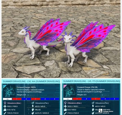 Ark Survival Ascended PVE LOW LEVEL USA Summer Drakeling Pair XBOX/PC/PS5