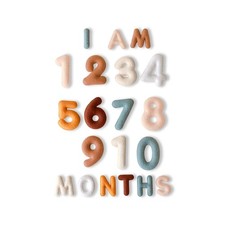 Felt Baby Monthly Milestone Numbers   Signs  Photo Props   Soft Letters  Numb