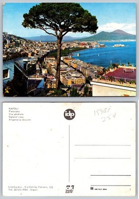 Vintage Napoli Panorama Postcard Mt Vesuvius Bay of Naples Italy idp