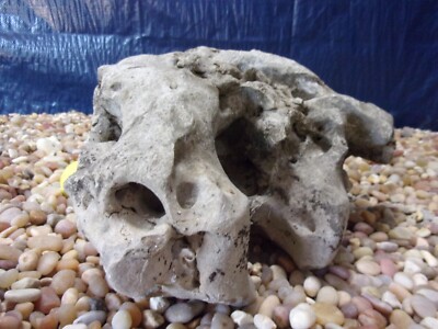 18# Texas/TN Holey Rock 06''x16''x10'' Aquarium Reptile Honeycomb Limestone