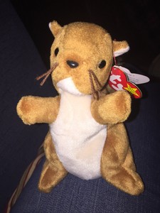 nuts beanie baby