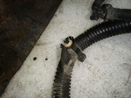 1998 RAM CUMMINS 24 VALVE PCM WIRING HARNESS P56020528AC MANUAL TRANS NV4500 PCM - Picture 15 of 24