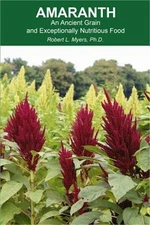 Amaranth: An Ancient Grain and Exceptionally Nutritious Food (Paperback or Softb