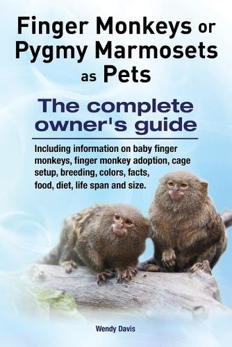 Thumbnail - Wendy Davis Finger Monkeys Or Pygmy Marmosets As Pets. Including I