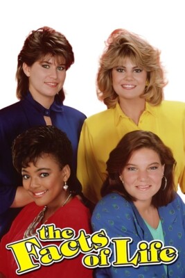 The Facts Of Life Cast TV Series POSTER 24 X 36 INCH SWEET!