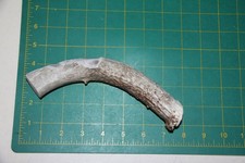 Medium Straight Deer Antler Dog Chew 25 / bone chews deer elk treats deer 1106