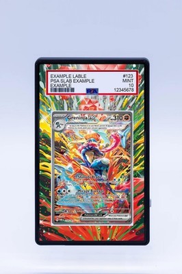 PSAグレーディング済みポケモンカード16枚セット Greninja ex 214/167 Sv06 Pokemon Extended Artwork For PSA CGC BGS