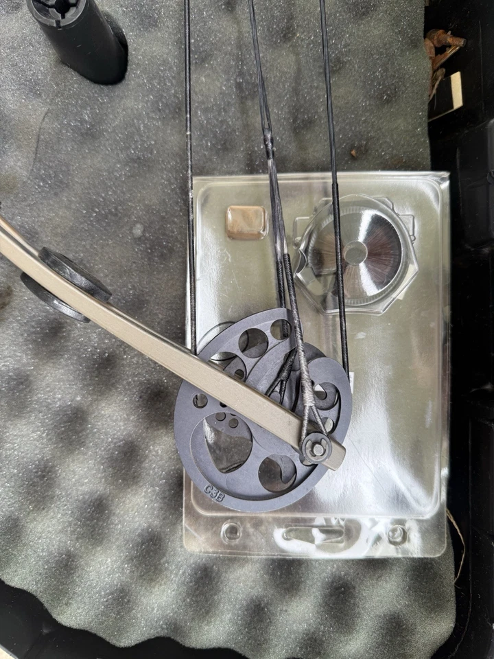 Hoyt Striker Compound Bow Right Hand - Image 4 of 4