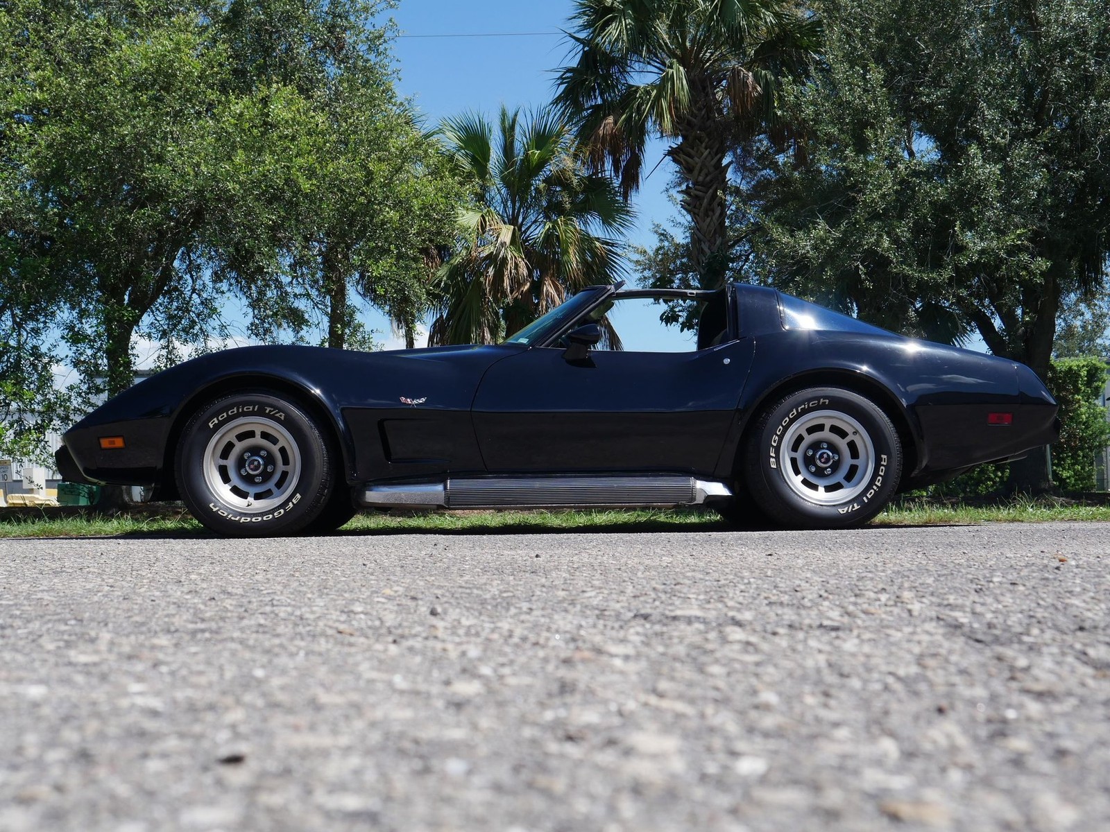 1979 Other Chevrolet Corvette Coupe  | C3 Corvette Photo 8