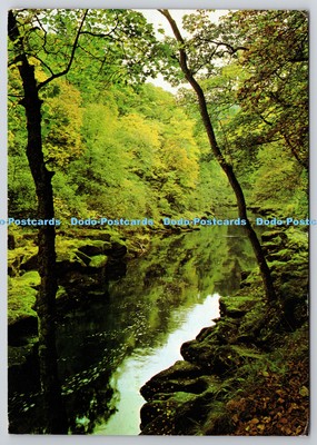 D312769 Bolton Woods. Wharfedale. Yorkshire. J. Arthur Dixon. 1986