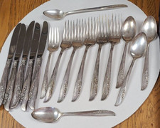16 - Piece Oneida 1881 Rogers "Lilac Time" Flatware, 5 knives 6 Forks & 5 spoons