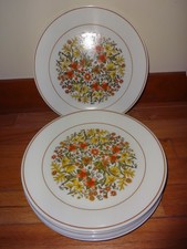 Corelle INDIAN SUMMER Large Dinner Plates 10 1/4” ~ Lot of 10